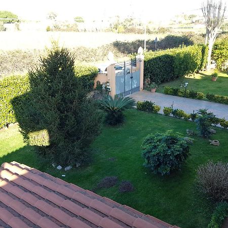 B&B Villa Elema Nettuno Exterior photo