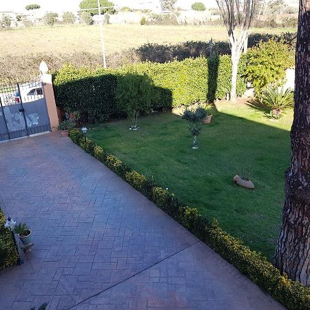 B&B Villa Elema Nettuno Exterior photo